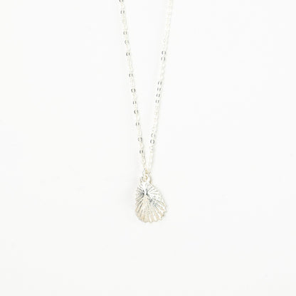 Pineapple Island Limpet Shell Necklace