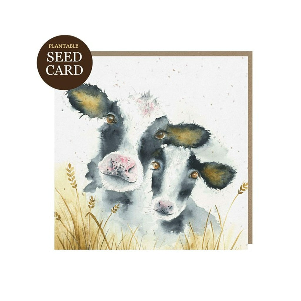 Illustrated Cows Seed Card